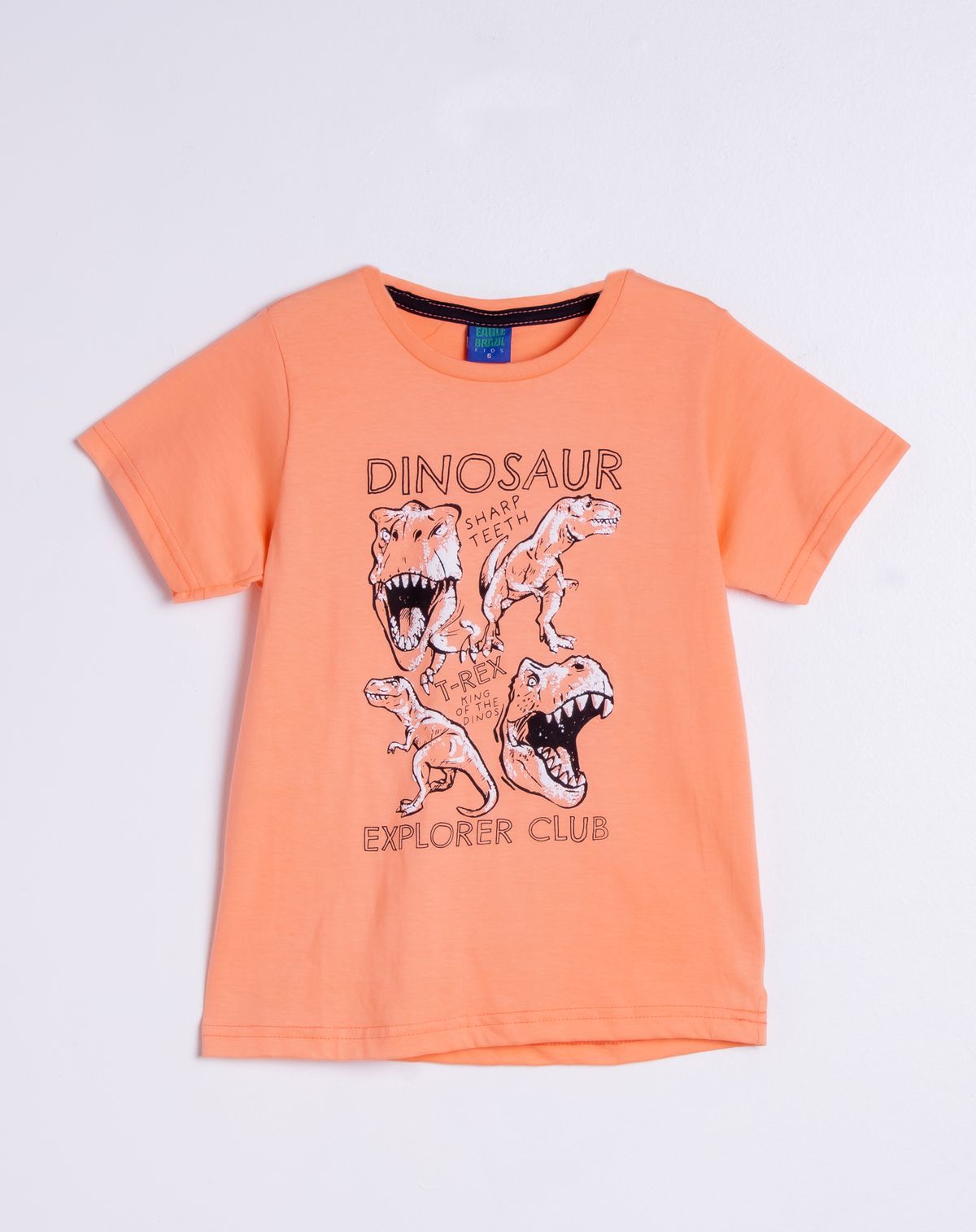 607269003-camiseta-manga-curta-infantil-menino-estampa-t-rex-coral-8-7fa