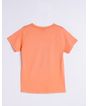 607269003-camiseta-manga-curta-infantil-menino-estampa-t-rex-coral-8-fdd