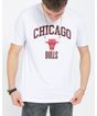 676122001-camiseta-manga-curta-masculina-estampa-chicago-bulls-branco-p-3ee