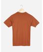 683507002-camiseta-manga-curta-juvenil-menino-gola-retilinea-marron-12-191