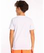 692648001-camiseta-manga-curta-juvenil-menino-basica-branco-10-f55