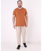 697359001-camiseta-manga-curta-plus-size-masculina-estampada-caramelo-g1-1f9